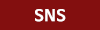 sns